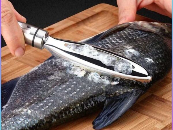 COD LISM Pengupas Sisik Ikan Fish Scales Scraper Peeler Stainless Steel - FKW24 / Alat Pembersih Sisik Ikan Stainless Steel Anti Karat / Fish Scale Skin Remover Scraper Serutan Pengupas Penghilang Kulit Peeler Serut