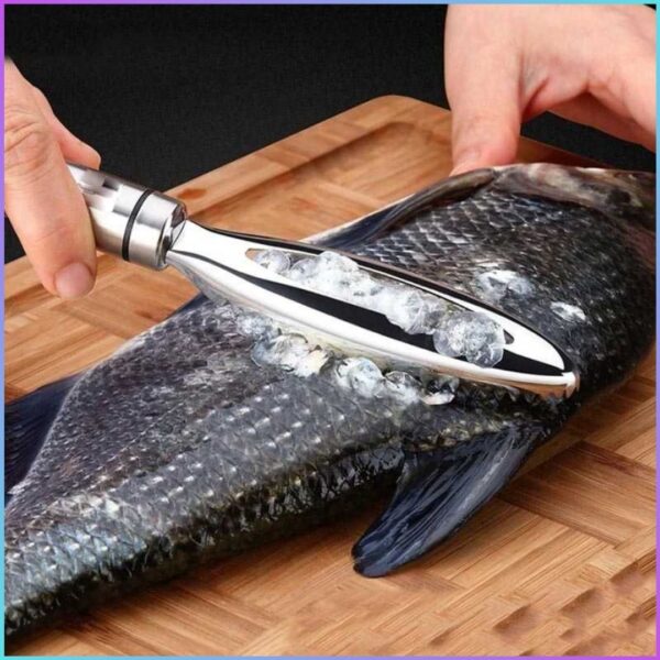 COD LISM Pengupas Sisik Ikan Fish Scales Scraper Peeler Stainless Steel - FKW24 / Alat Pembersih Sisik Ikan Stainless Steel Anti Karat / Fish Scale Skin Remover Scraper Serutan Pengupas Penghilang Kulit Peeler Serut