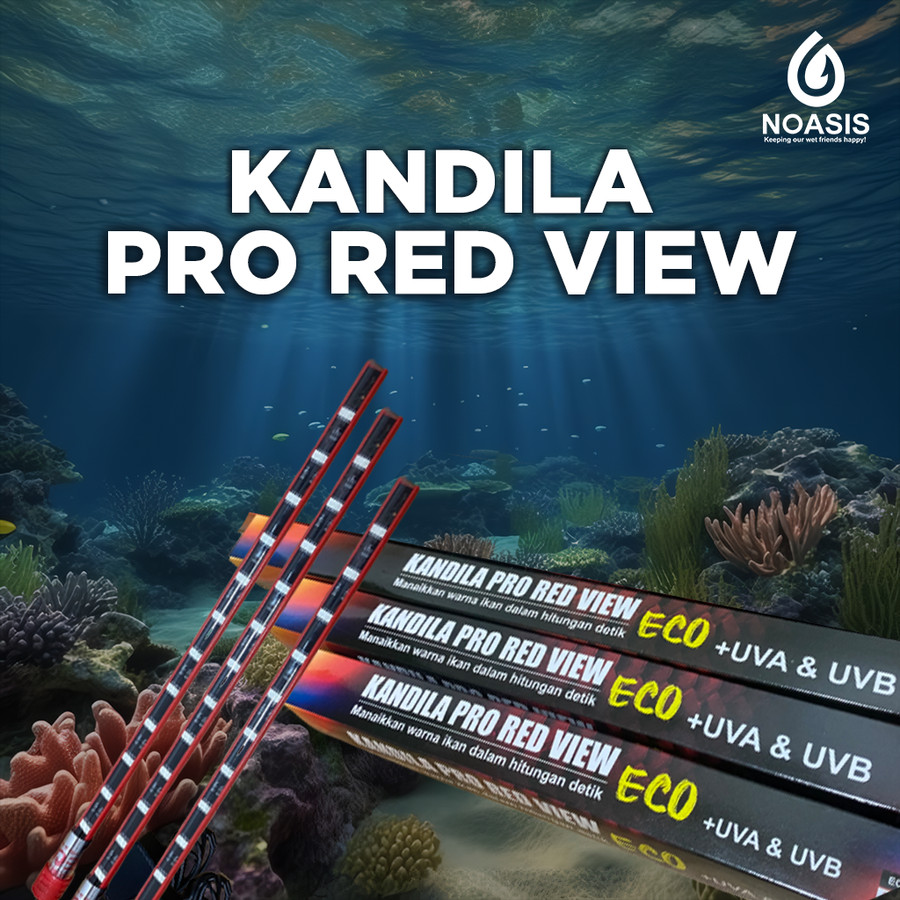 KANDILA Pro Red View Eco Lamp